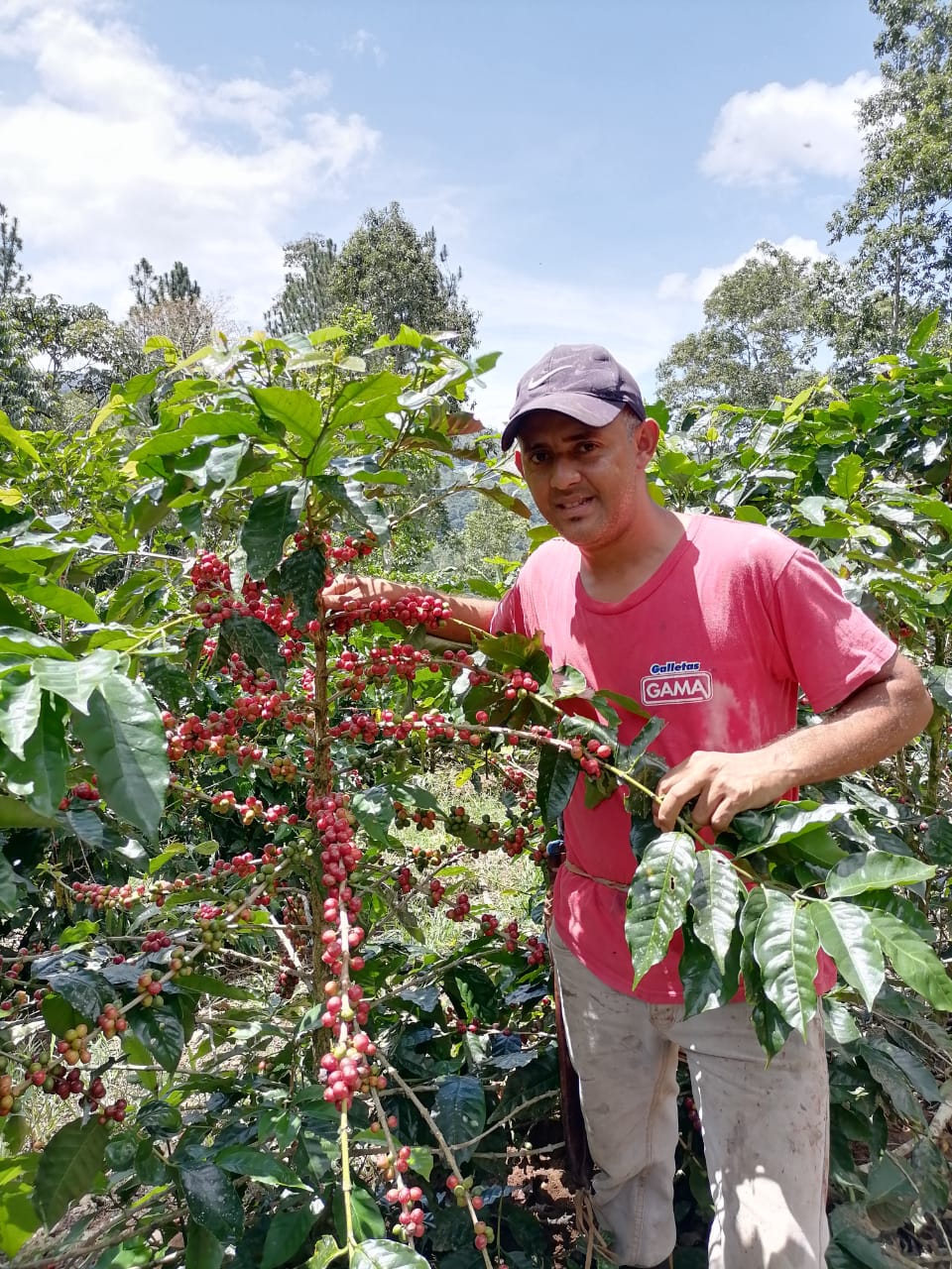 Portrait of Jordan Pao, smiling and wearing a casual outfit, featured on the Umoja Coffee plantation.